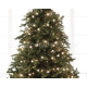 Lumineo 360 LED Indoor/Outdoor Christmas Lights