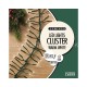 Lumineo 1512 LED Cluster Lights